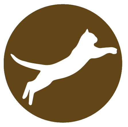 Cat Jumping icon